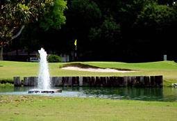 Colonial Golf & C.C.